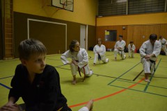 Karate1