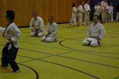 Karate2