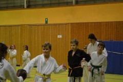 Karate3