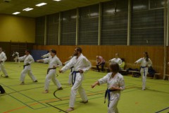 Karate4
