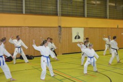 Karate5