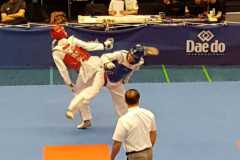 Bilder_Kampftunier-2